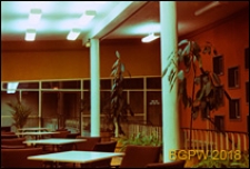 Dom Sportu WKKFiT, widok wnętrza klubowego, Zielona G&oacute;ra