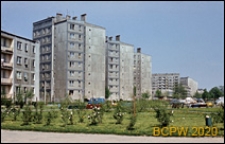 Osiedle Radna, widok budynków mieszkalnych od strony z zielenią miejską, Warszawa