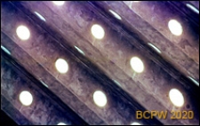 Stadion Flaminio, konstrukcja przykrycia trybun, Rzym, Włochy