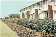 Osiedle mieszkaniowe w dzielnicy Slotervaart w zachodniej części miasta, jednorodzinne domy mieszkalne w układzie szeregowym, widok od strony ogrodu, Amsterdam, Niderlandy