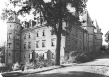 Zamek Działyńskich w Gołuchowie