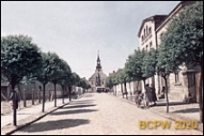 Droga z aleją drzew obok budynków mieszkalnych, Rydzyna