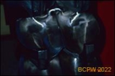 Zbliżenie na łopatki turbiny Peltona, Austria