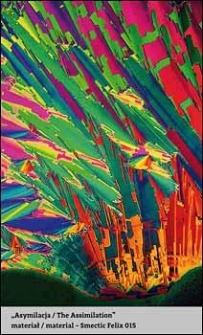 Ciekłe kryształy / Liquid Crystals. „Asymilacja / The Assimilation”