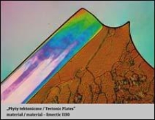 Ciekłe kryształy / Liquid Crystals. „Płyty tektoniczne / Tectonic Plates”