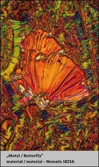Ciekłe kryształy / Liquid Crystals. „Motyl / Butterfly”