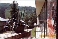 Solar-Hotel Medical Spa, Pienińska Uzdrowiskowa Klinika Rehabilitacji i Leczenia Bólu im. św. Ojca Pio, ulica Uzdrowiskowa 4, widok zewnętrzny z fragmentem budynku ozdobionym mozaiką, Szczawnica